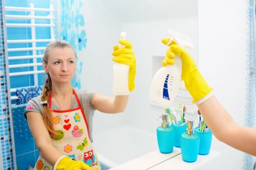 Professional oven cleaning service for Hampstead homes and flats