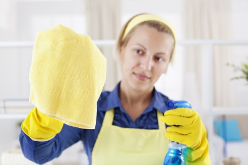 Professional carpet cleaning service for a Hampstead home interior