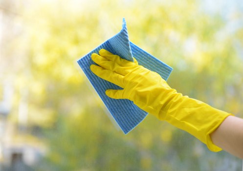 Professional domestic cleaner working in a Hampstead period home