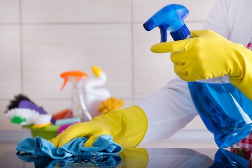 Customer service note about a cleaning concern