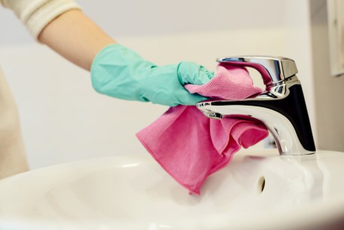 Professional deep cleaning service introduction in Hampstead