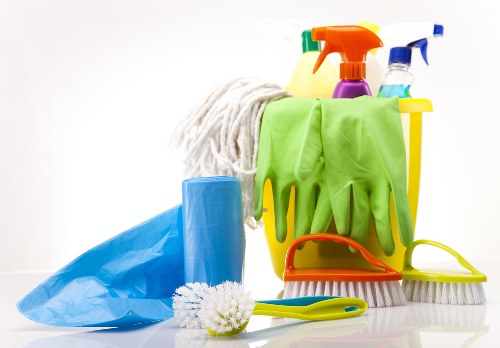 Professional carpet cleaner treating a living room carpet in Hampstead