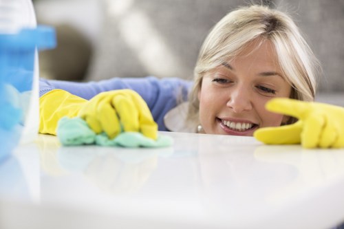 Professional domestic cleaning in a Hampstead kitchen and living area