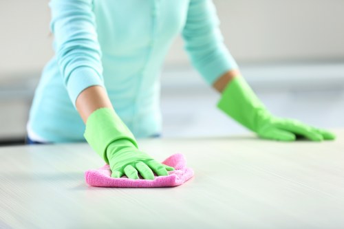 One-off cleaning service for period homes and apartments in Hampstead
