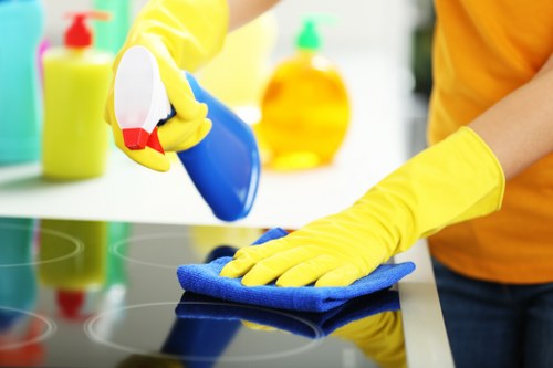 Domestic cleaning service for homes near Hampstead Heath