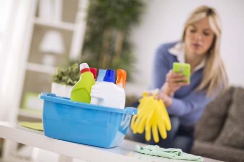 Deep cleaning service for a Hampstead home with period features