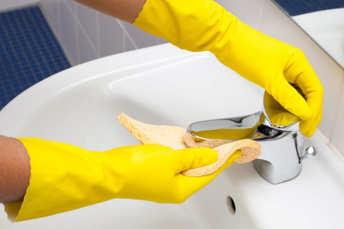 Local oven cleaning appointment in a Hampstead home
