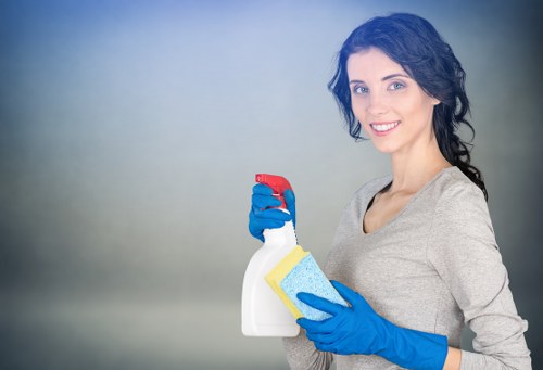 Cleaning support for period homes and flats in Hampstead