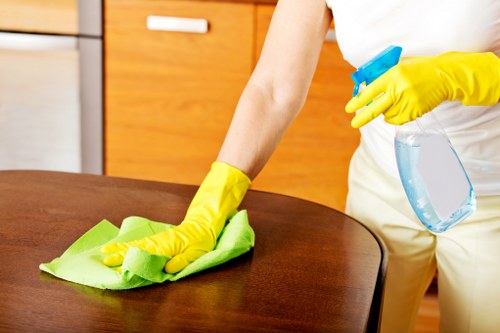 Deep cleaning of stone and tile flooring in Hampstead