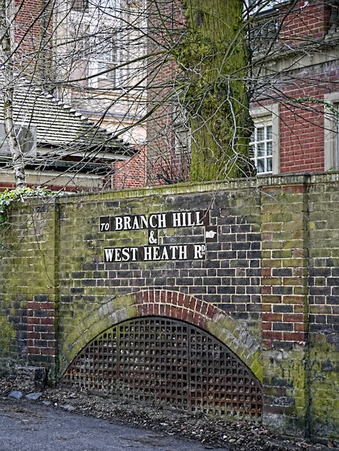 A brick and stone wall featuring a historic street sign that reads 'To Branch Hill & West Heath Rd,' with moss and weathering on the bricks. The wall includes an arched brick vent with metal lattice covering and is topped by a leafless tree with visible branches extending overhead. Surrounding buildings are partially visible in the background, indicating an urban setting near Hampstead Heath, London. Deep Cleaning Hampstead specializes in domestic cleaning and surface sanitisation, ensuring pristine and well-maintained interiors based on the Hampstead Heath flat cleaning tips for NW3 residents.